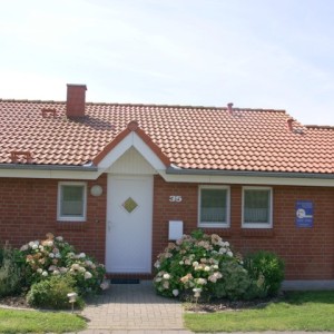 Neu Seeland 35