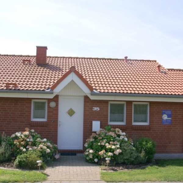 Neu Seeland 35