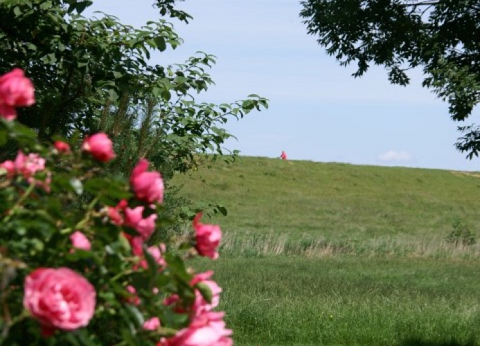 Wetternweg 2