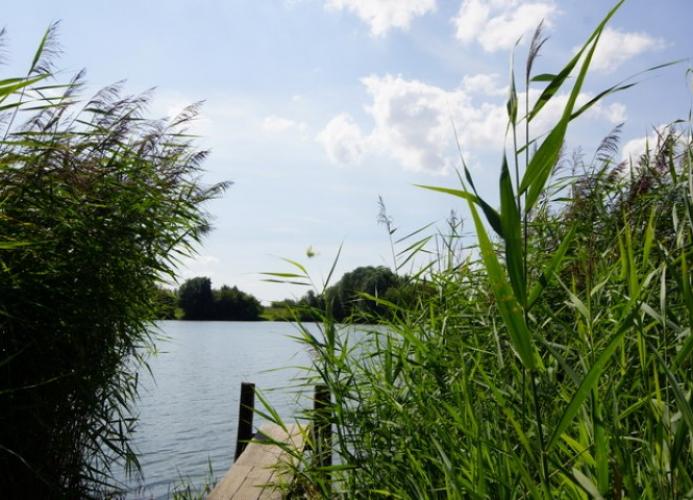 Am Südsee 8