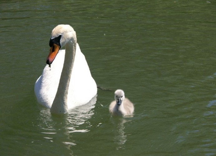 An der Wasserlöse 3