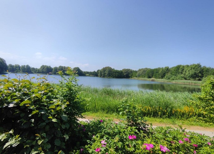 Am Südsee 15