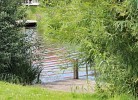 Neu Seeland 9